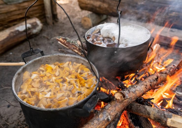 cooking-fresh-self-picked-mushrooms-in-two-bowler-SE3QC8C.jpg